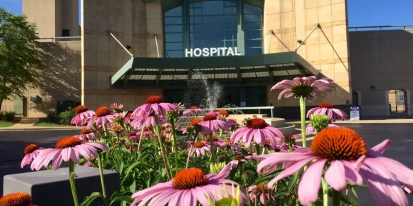 Swedish American Hospital - Center for Mental Health Services